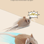 Electric Interactive Mouse Cat Toys