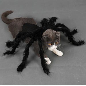 Funny Spider Costume