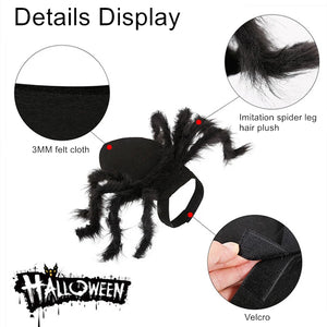 Funny Spider Costume