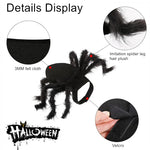Funny Spider Costume