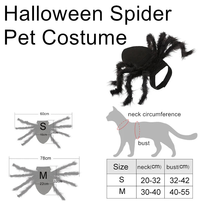 Funny Spider Costume