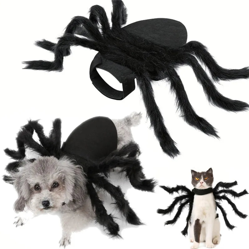 Funny Spider Costume