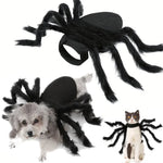 Funny Spider Costume