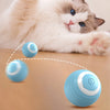 Interactive Spin Ball