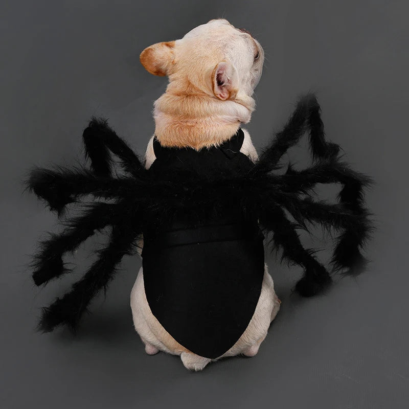 Funny Spider Costume
