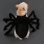 Funny Spider Costume