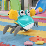 Kids Induction Escape Crawling Crab