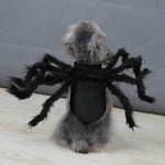 Funny Spider Costume