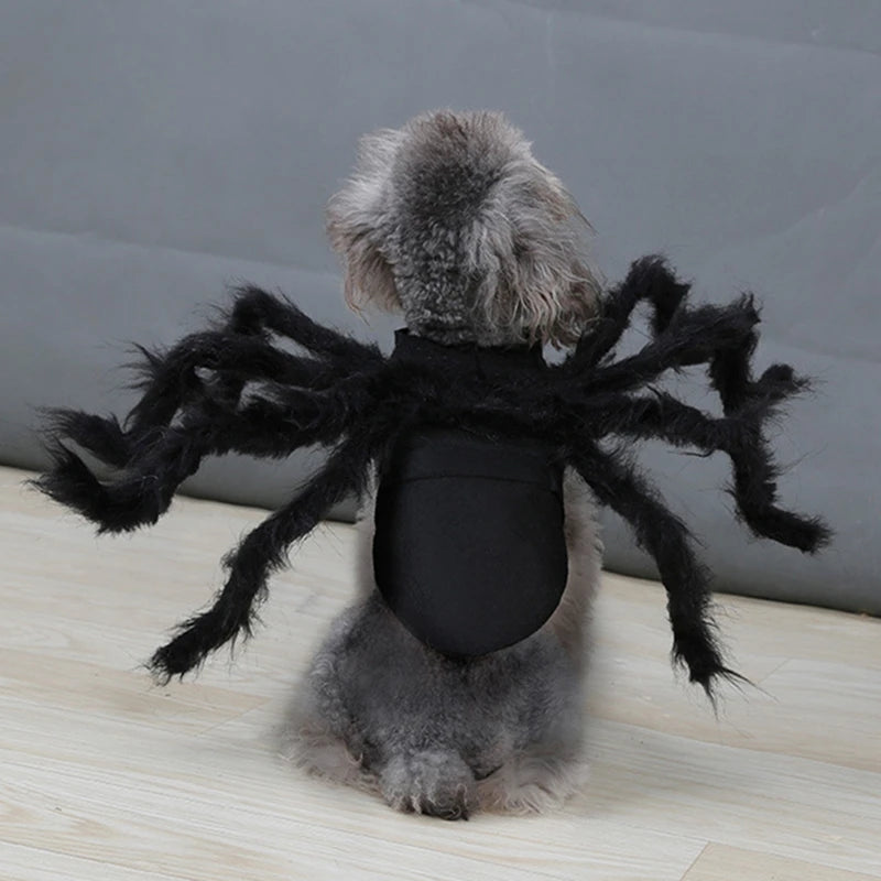 Funny Spider Costume
