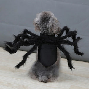 Funny Spider Costume