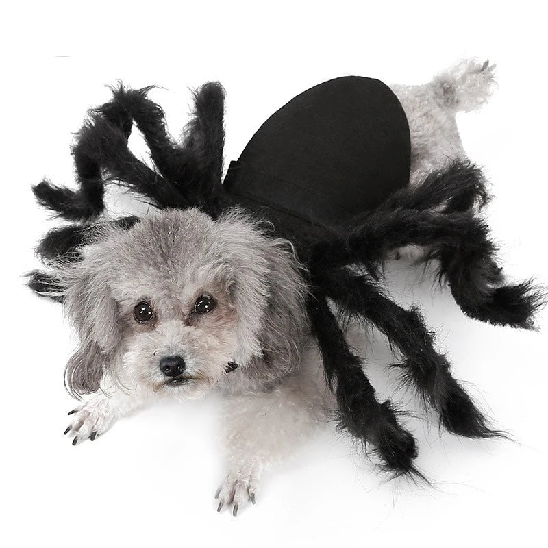 Funny Spider Costume