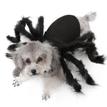 Funny Spider Costume