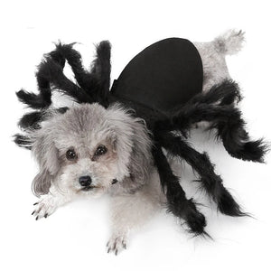 Funny Spider Costume