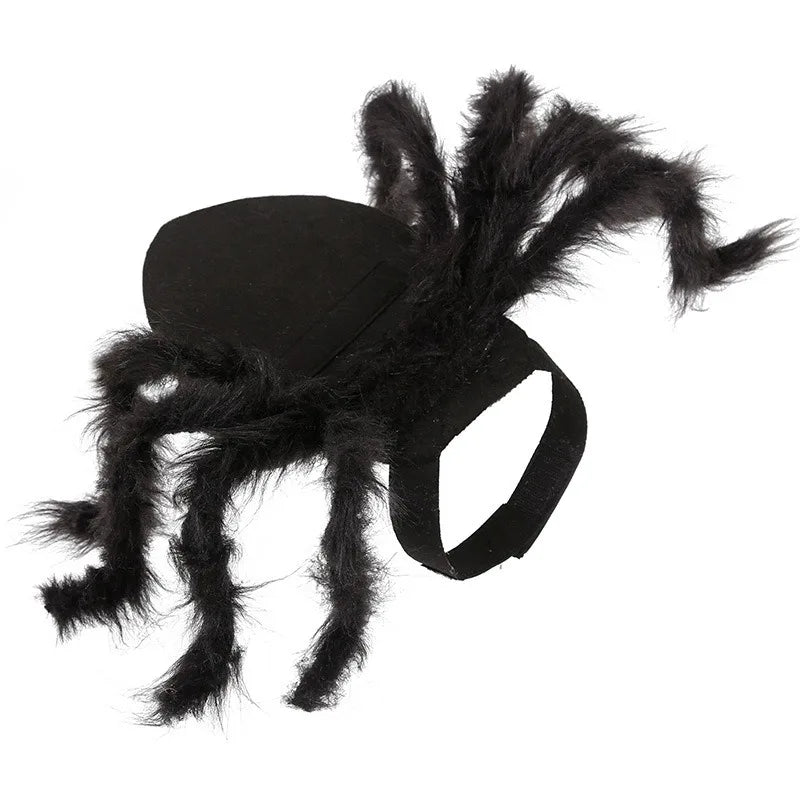 Funny Spider Costume