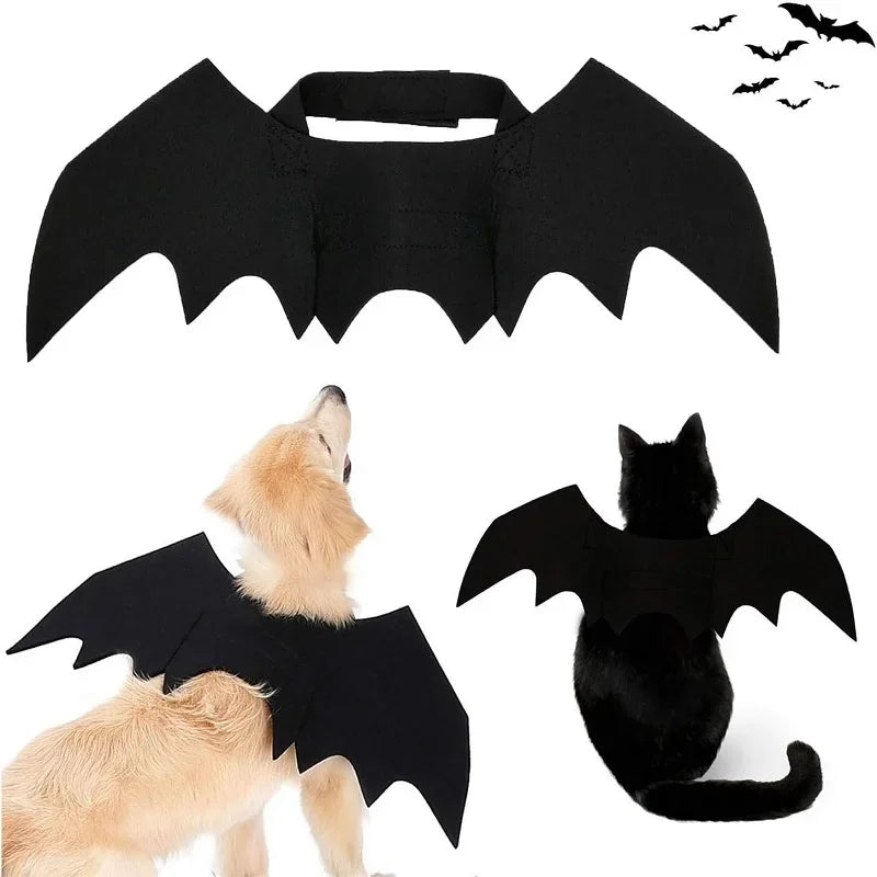 Bat Wings Funny Dog Costume