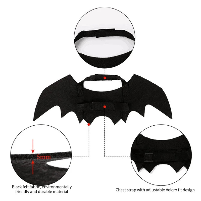 Bat Wings Funny Dog Costume