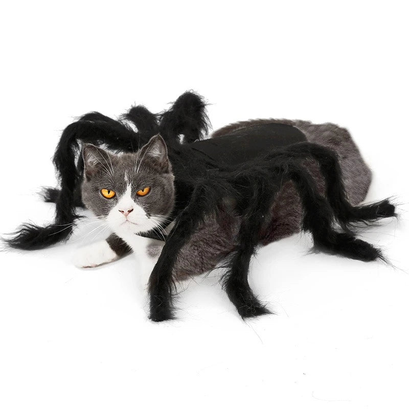 Funny Spider Costume