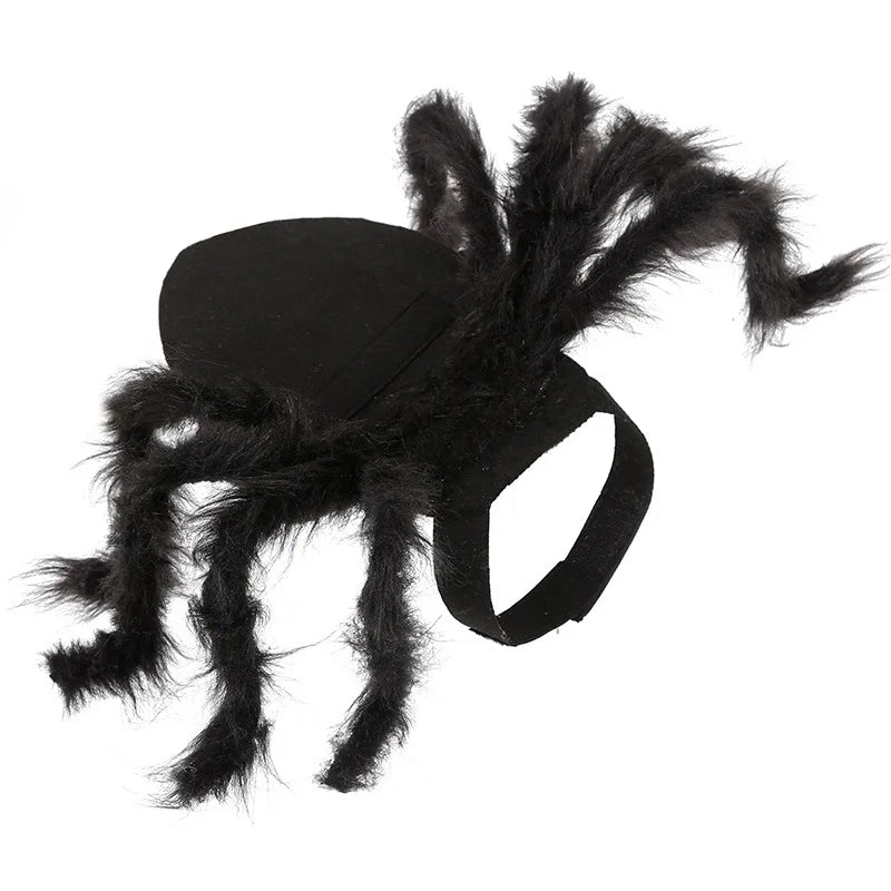 Funny Spider Costume