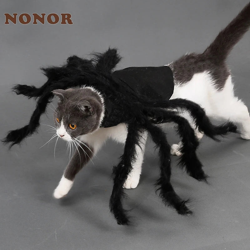 Funny Spider Costume