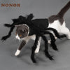 Funny Spider Costume