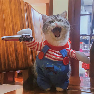 Halloween Cosplay Costumes