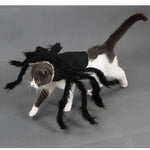 Funny Spider Costume