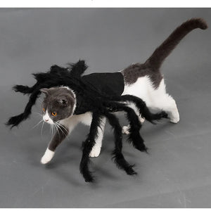 Funny Spider Costume