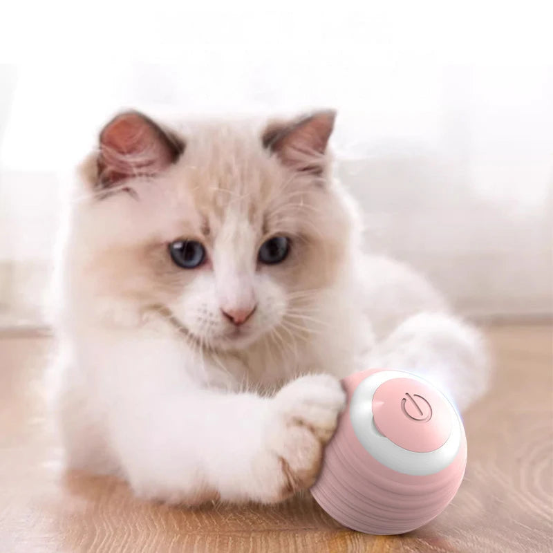 Interactive Spin Ball