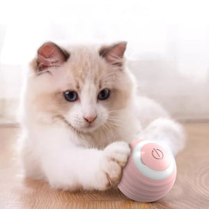 Interactive Spin Ball