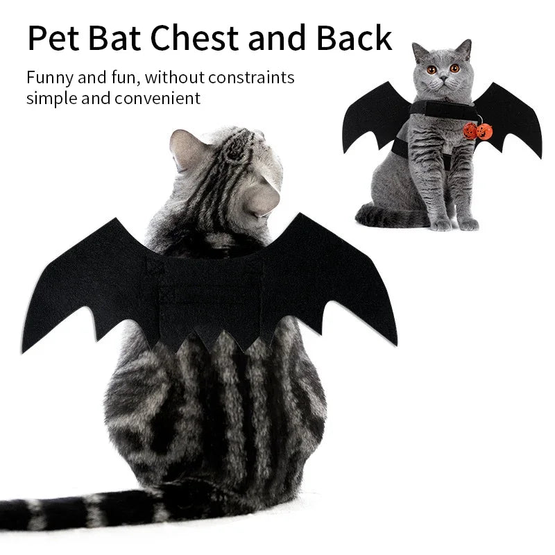 Bat Wings Funny Dog Costume