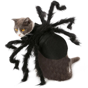 Funny Spider Costume