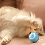 Interactive Spin Ball